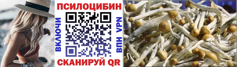 Псилоцибиновые грибы Psilocybine cubensis магазин продажи Заволжск